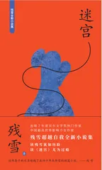 《迷宫》封面